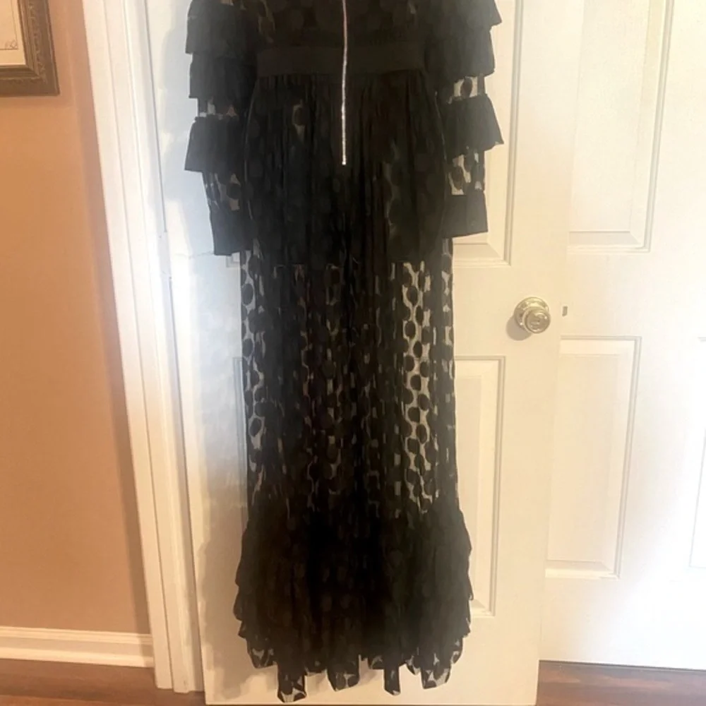 SHEER MESH POLKA DOT TIERED RUFFLE DRESS - Picture 13 of 15
